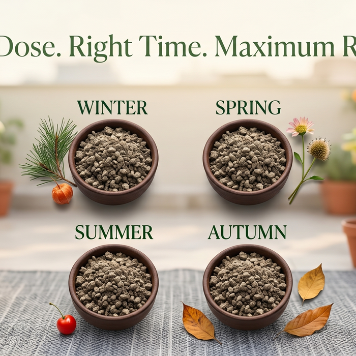 Season-wise neem cake fertilizer dosage chart for Indian terrace grow bag gardens — Anandi Greens