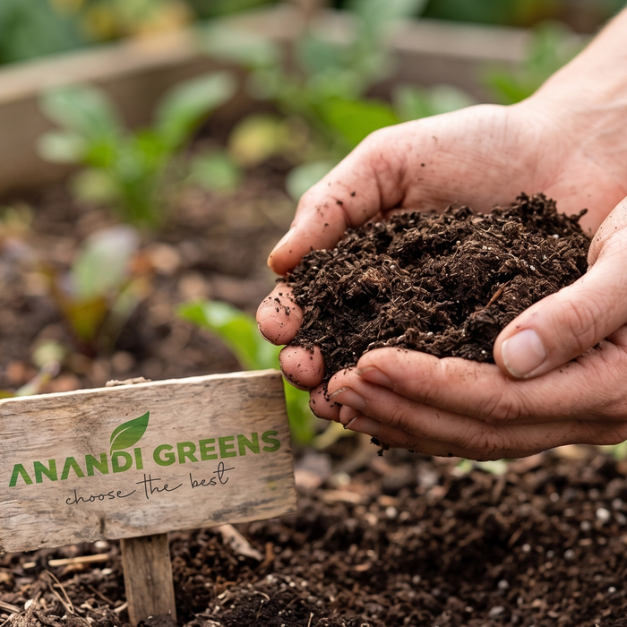 Organic fertilizer held in hands over garden soil for plant feeding guide