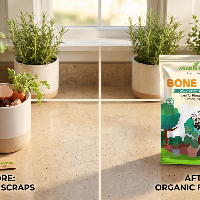 Homemade compost bin beside packaged organic fertilizer for comparison guide