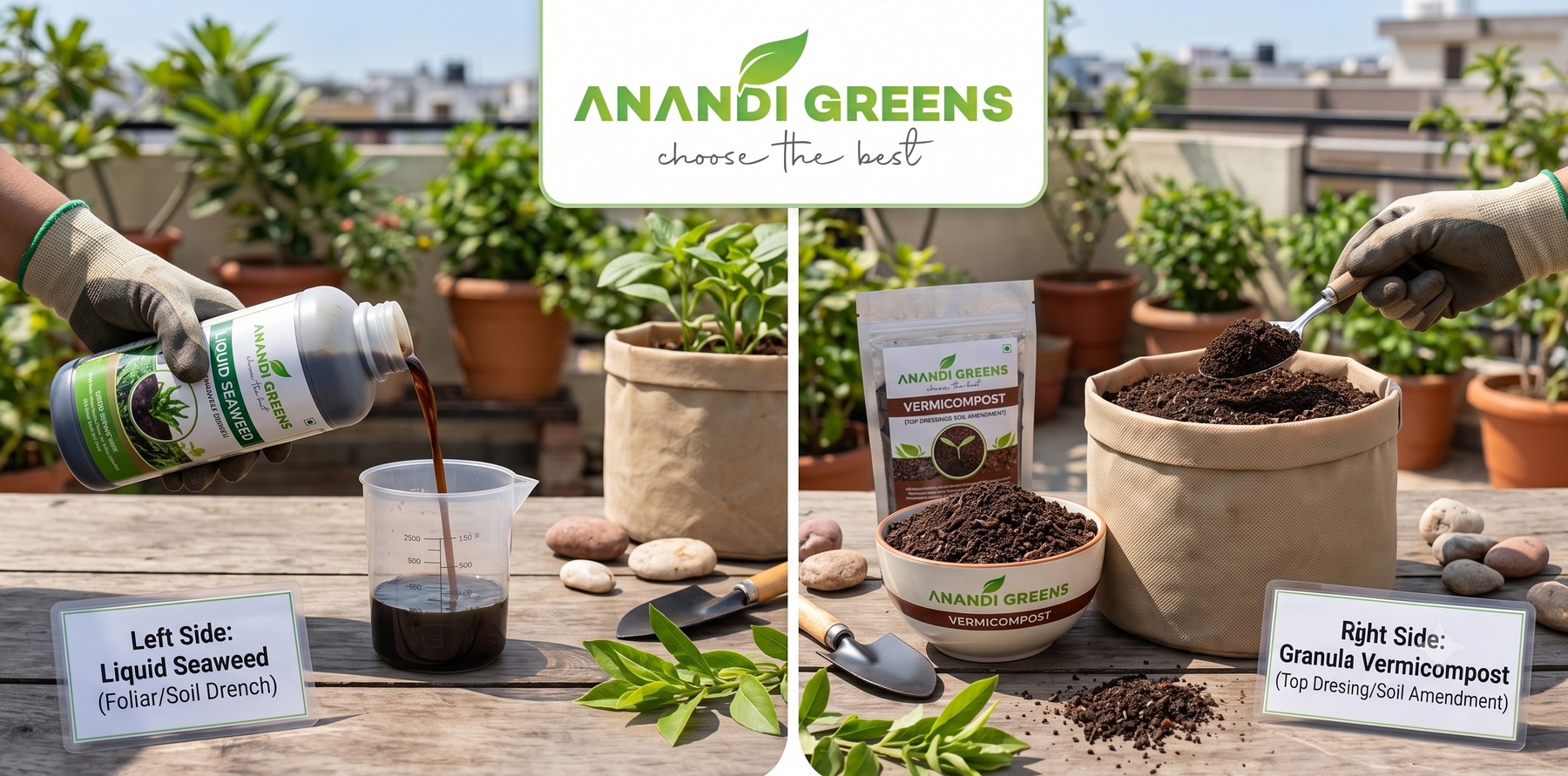 Liquid vs granular organic fertilizer for grow bags — Anandi Greens comparison guide for Indian terrace garden plants