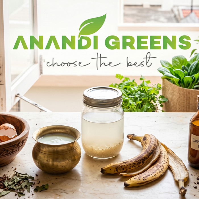  DIY organic fertilizer ingredients from Indian kitchen — banana peel, rice water, buttermilk and compost tea for terrace grow bag garden