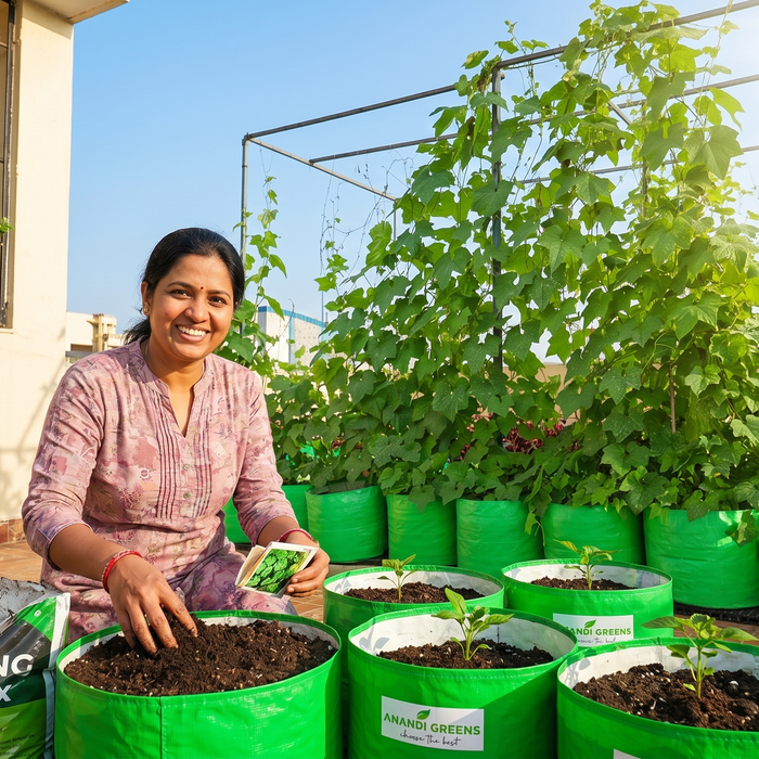 Beginner setting up first terrace garden in India with grow bags and seeds from Anandi Greens — rooftop gardening setup guide
