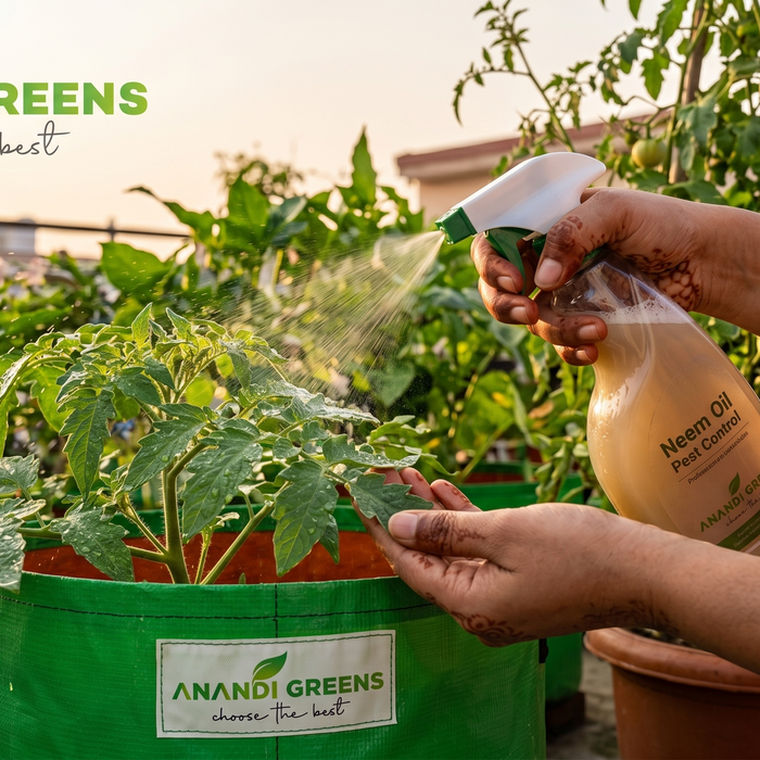 Organic pest control for terrace garden — gardener spraying neem oil on grow bag plants, chemical-free gardening with Anandi Greens