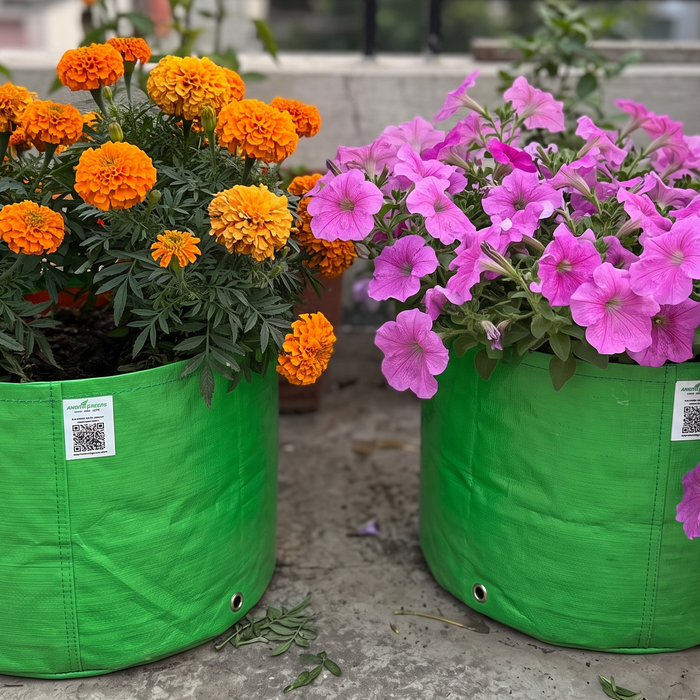 Marigold and petunia flowers growing in appropriately sized grow bags
