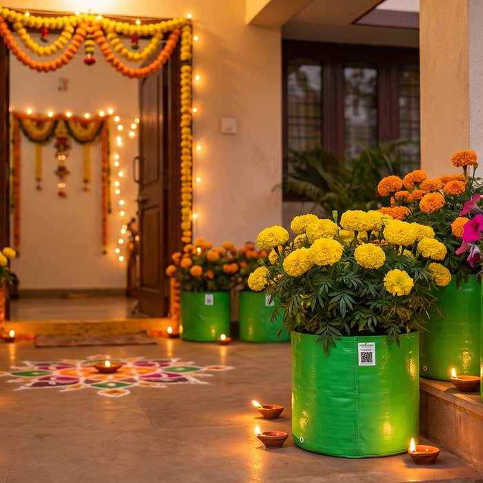 Flowering plants in grow bags decorated for a festive display during Diwali