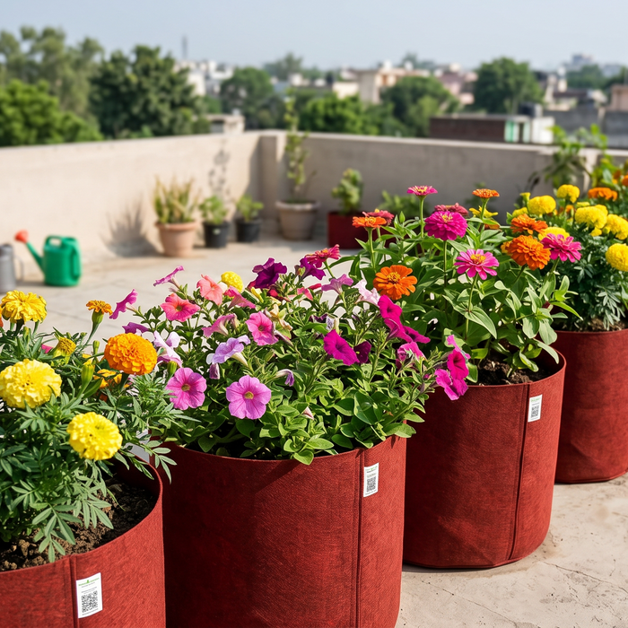 Flowering plants like marigold and petunia growing in grow bags on a terrace