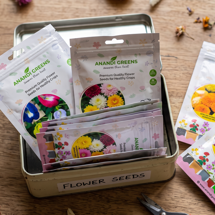 Flower seed packets stored properly in a cool dry container for maximum shelf life