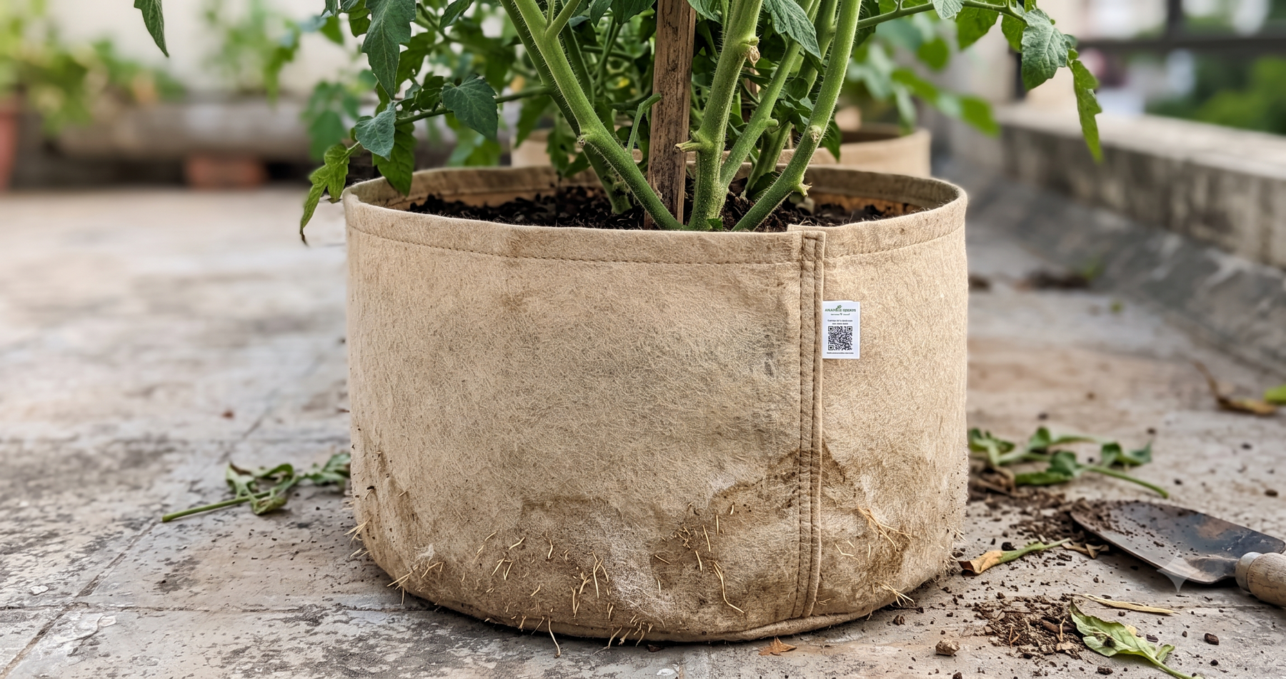 Vegetable plants with healthy roots growing in Geo Fabric grow bags