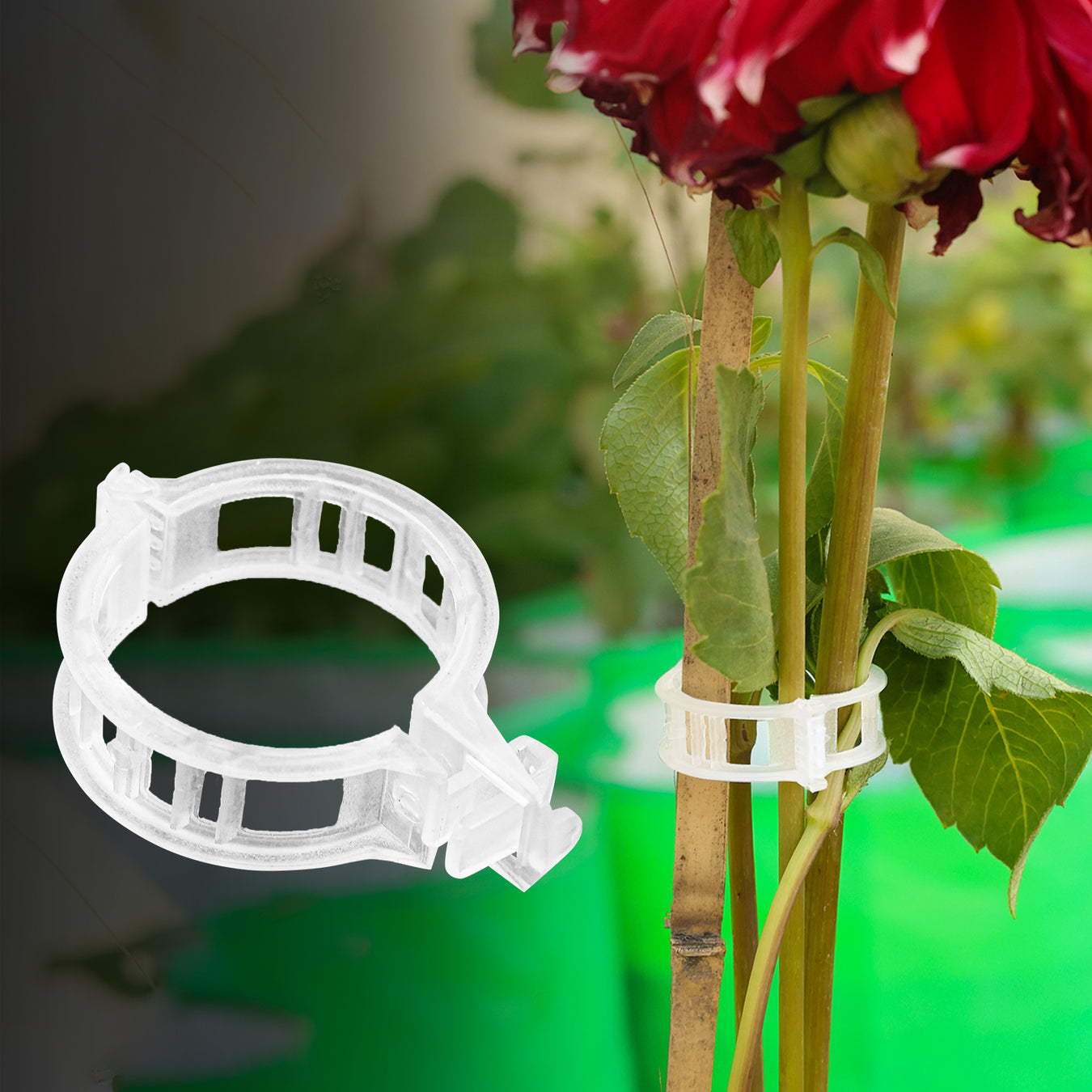 Trellis & Climber Support