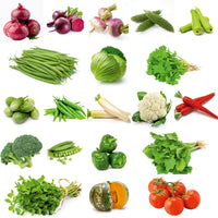 20 Winter Vegetable Seeds Combo Pack (सर्दी के मौसम की 20 सब्ज़ियों के बीज) - 1000+ Seeds