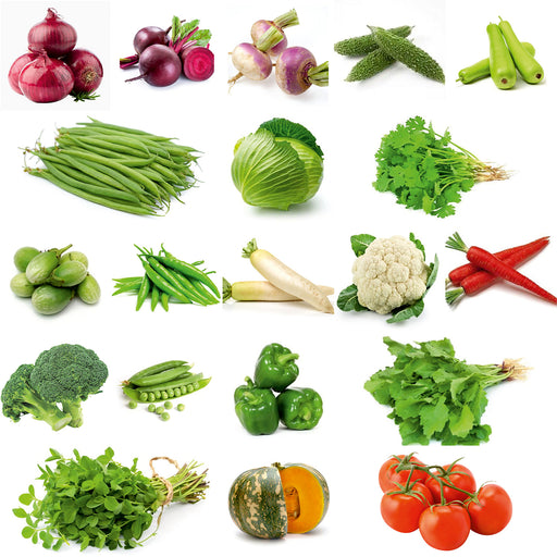 20-Winter-Vegetable-Seeds-Combo-Pack