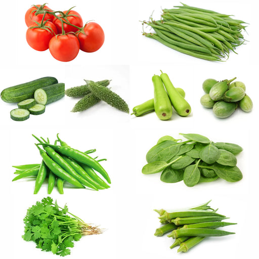 Assorted-green-vegetables-including-tomatoes-beans-cucumbers-and-okra-on-a-white-background