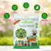 Climbing Vegetable Seeds Combo