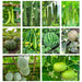 10 Climbing Vegetable Seeds Combo