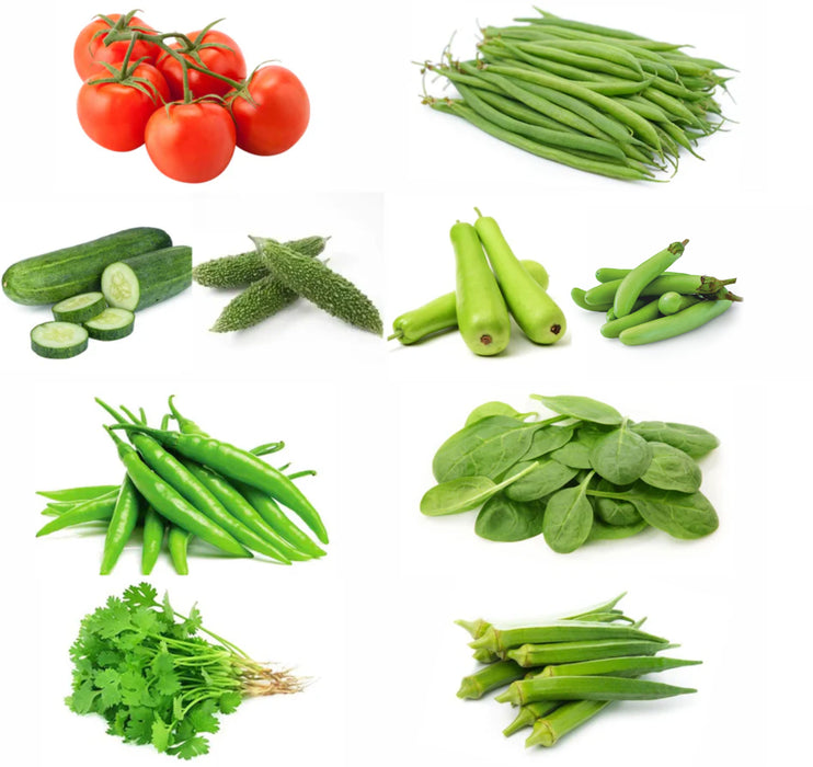10 All Season Vegetable Seeds Kit (10 सब्जियों के बीज किट)