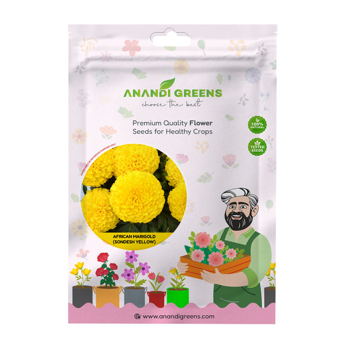 African Marigold (Sondesh Yellow)  Seeds