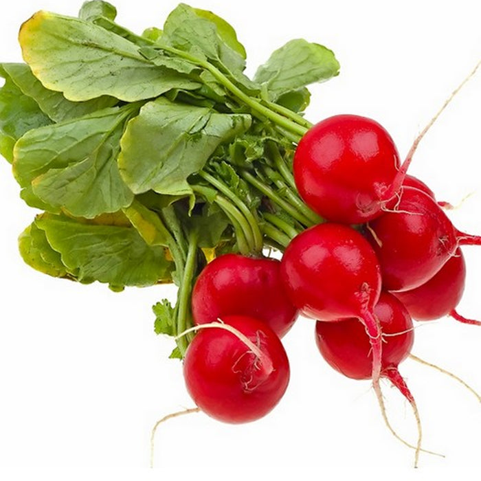 Radish Scarlet Globe (मूली लाल) Seeds