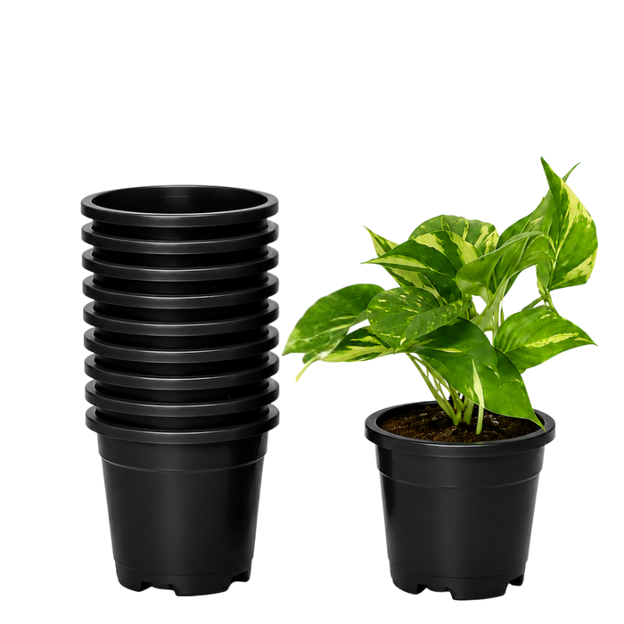 Plastic Nursery Pot for Seedlings, Saplings & Garden Plants