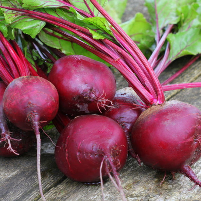 Beetroot (चुकंदर) Seeds