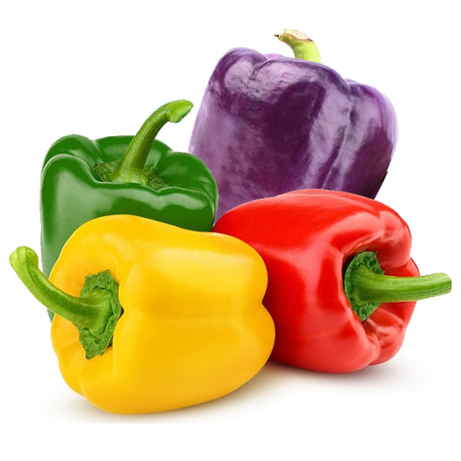Four-bell-peppers-in-green-yellow-red-and-purple-on-a-white-background