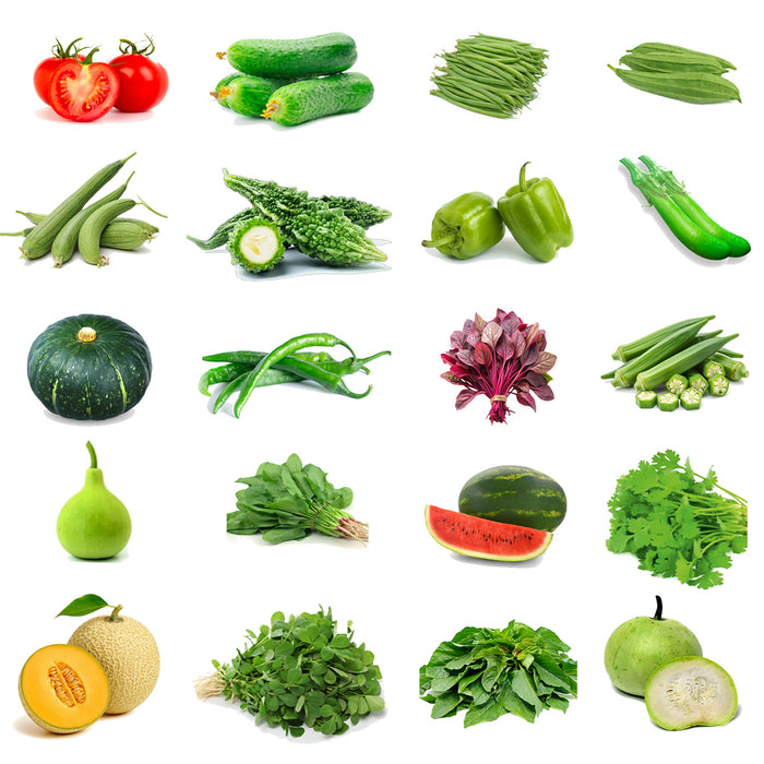 20 Summer Seeds Combo – Grow Your Own Fresh Veggies