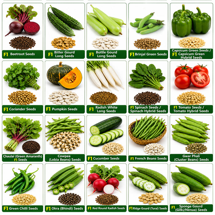 20 Varieties - Rainy Season Vegetable Seeds Combo