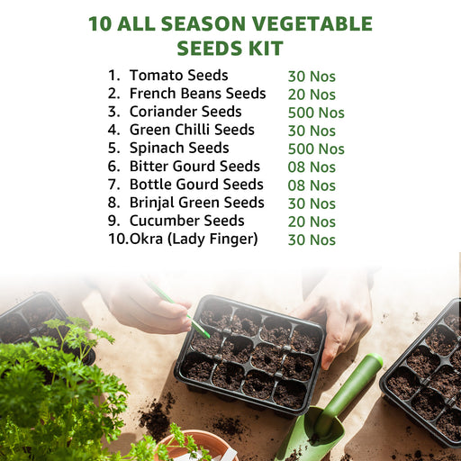 10-all-season-vegetable-seeds-kit-with-seedlings-and-planting-tools-on-a-table.