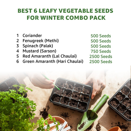 6-Best-Leafy-Vegetable-Seeds