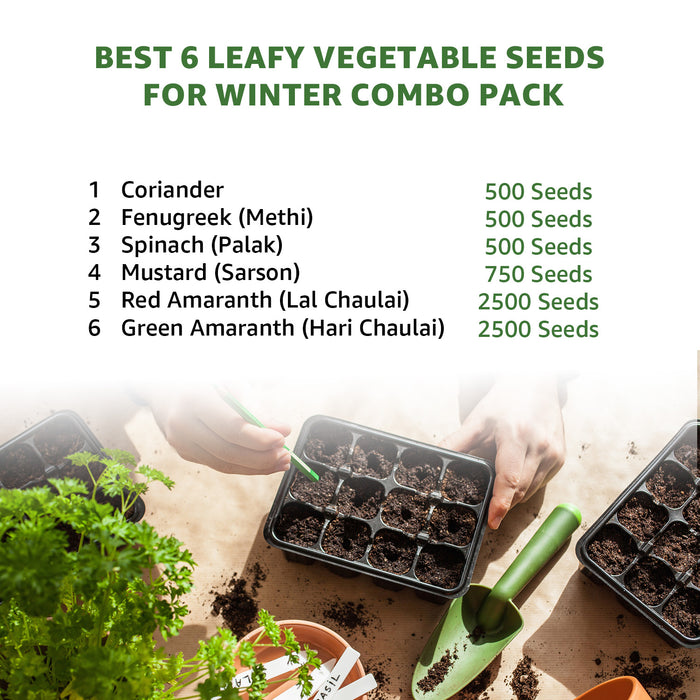 6-Best-Leafy-Vegetable-Seeds
