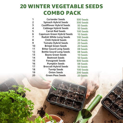 20-Winter-Vegetable-Seeds-Combo-Pack