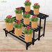 Black metal plant stand with pots of flowers against a white brick wall.