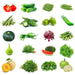 20-summer-vegetable-Seeds-combo.jpg3
