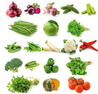 20 Winter Vegetable Seeds Combo Pack (सर्दी के मौसम की 20 सब्ज़ियों के बीज) - 1000+ Seeds
