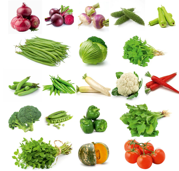 20 Winter Vegetable Seeds Combo Pack (सर्दी के मौसम की 20 सब्ज़ियों के बीज) - 1000+ Seeds