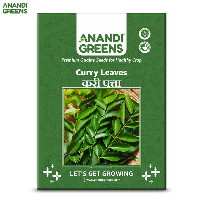 kadi patta plant seeds Buy Curry Leaf Seeds Online (20) | करी पत्ता