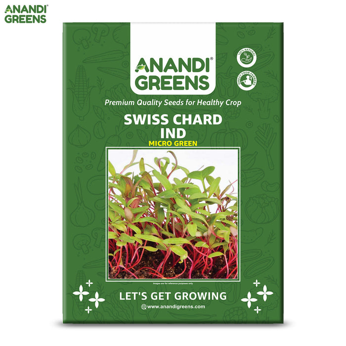 Swiss Chard IND (MICROGREEN)