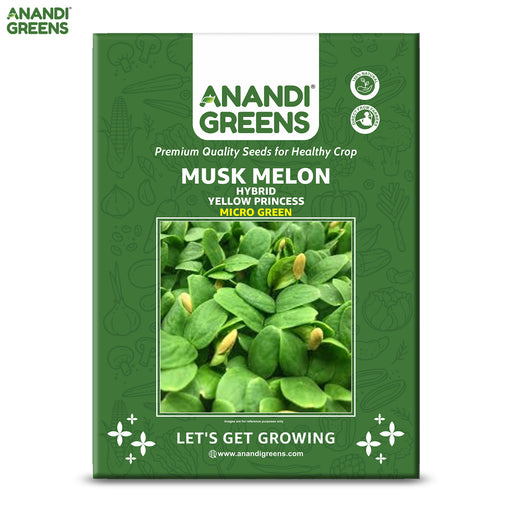 Musk-Melon-Hybrid-Yellow-Princess-Microgreen-Seeds