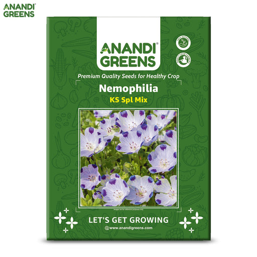 Nemophilia-(KS Spl Mix)–Premium-Open-Pollinated-Seeds