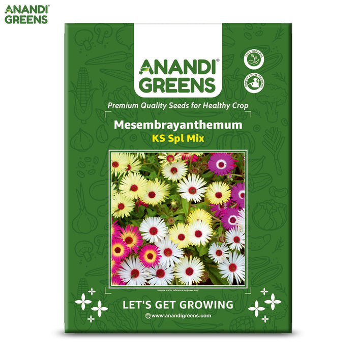 Mesembryanthemum-(KS Spl Mix)-Seeds