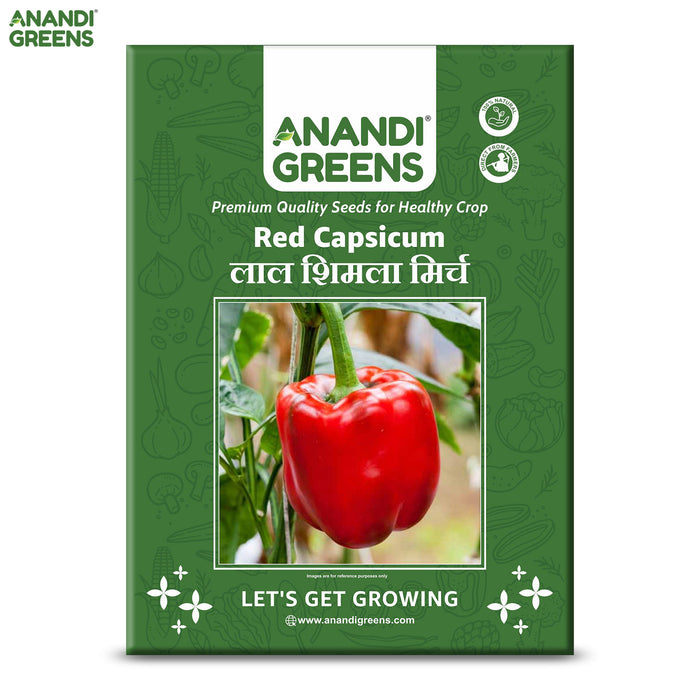 Capsicum Red (लाल शिमला मिर्च) F1 Hybrid Seeds