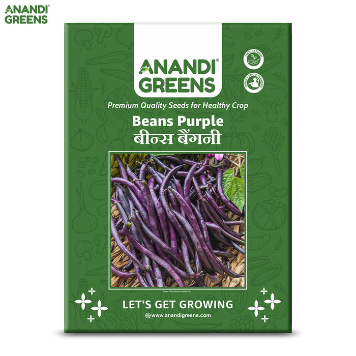 Beans Purple (बैंगनी सेम) Seeds