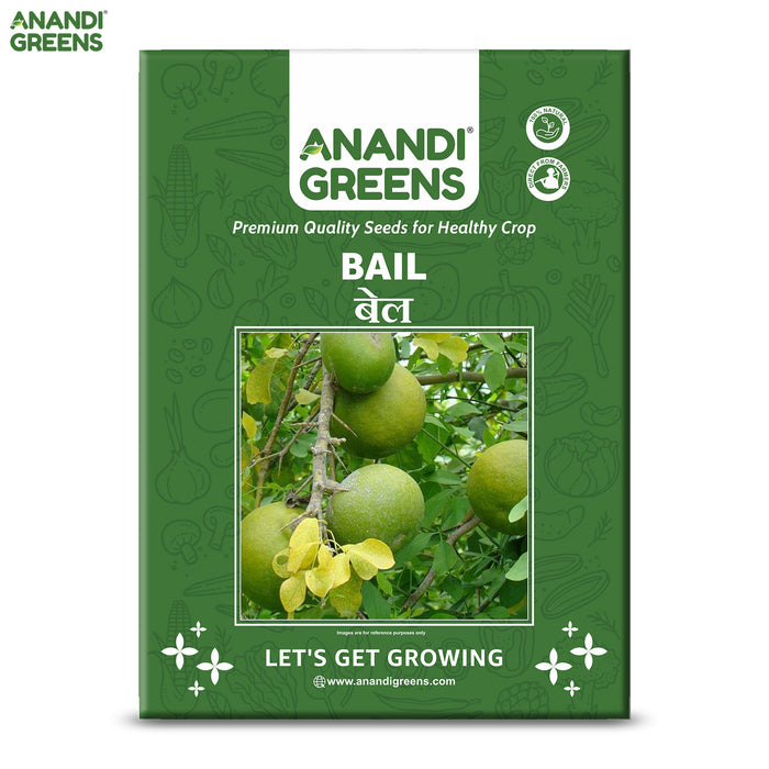 bel patra plant seeds Bael Seeds