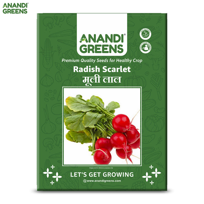 Radish Scarlet Globe (मूली लाल) Seeds