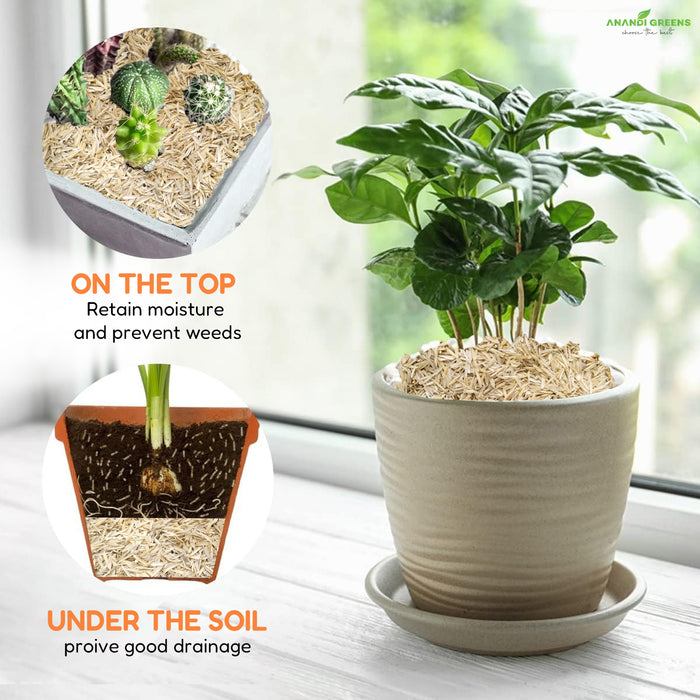 Rice Husk for Garden