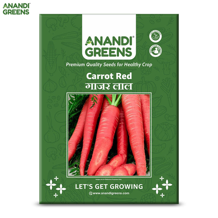 Carrot (Red) लाल गाजर Seeds for Your Garden