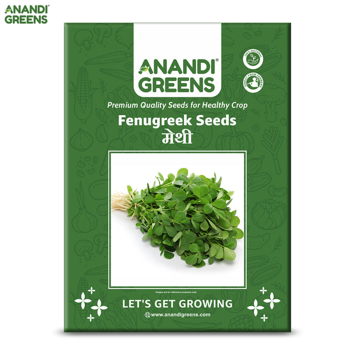 Fenugreek Seeds (मेथी)