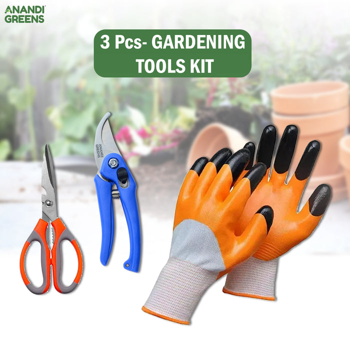 3-Piece Gardening Tools Kit - Pruning Shears, Garden Scissors, Protective Gloves