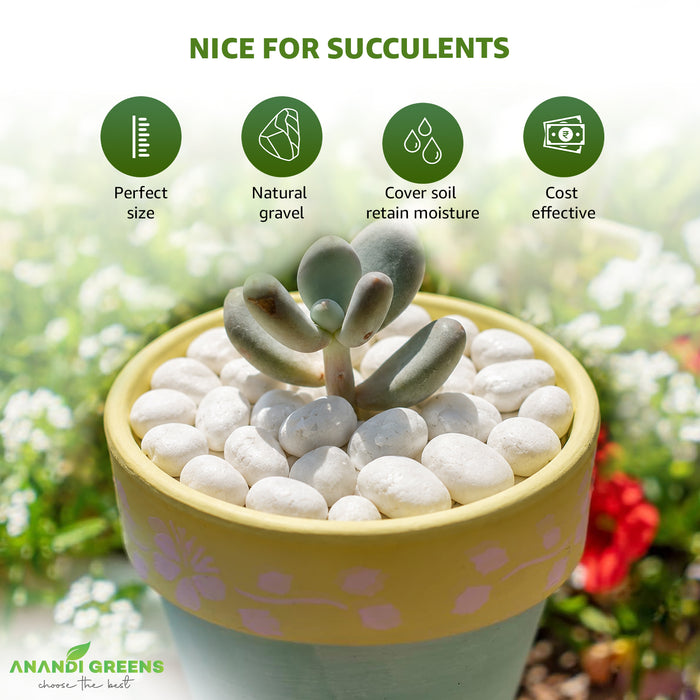 White Unpolished Decorative Stones – सफ़ेद बिना पॉलिश के पत्थर