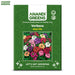 Verbena-(Ideal Mix) – Premium-Open-Pollinated-Seeds