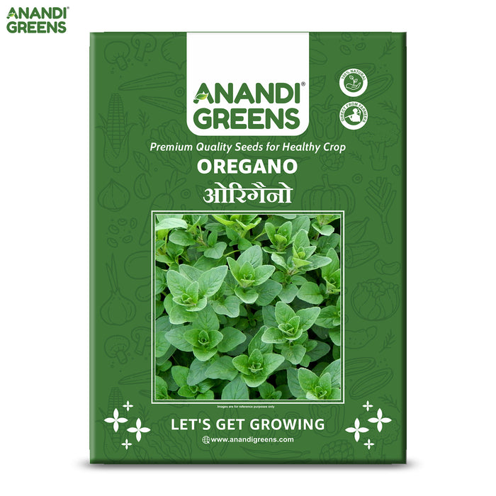 Oregano (अजवायन) Seeds